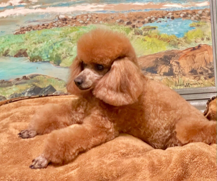 Gigi in her professional days
