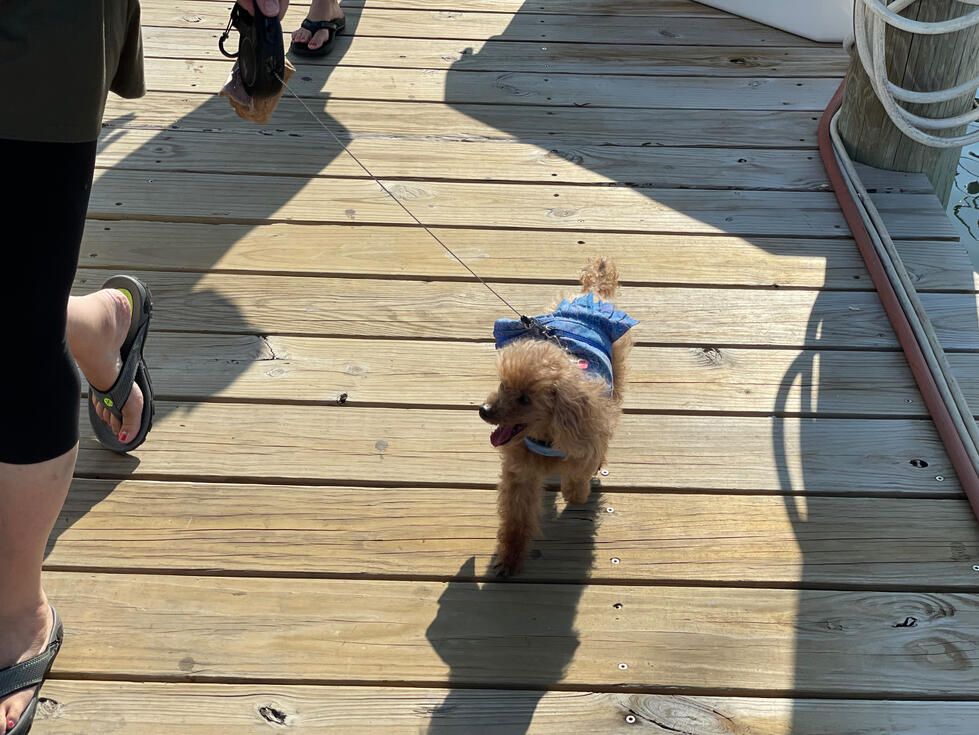 On the dock, ready for another venture