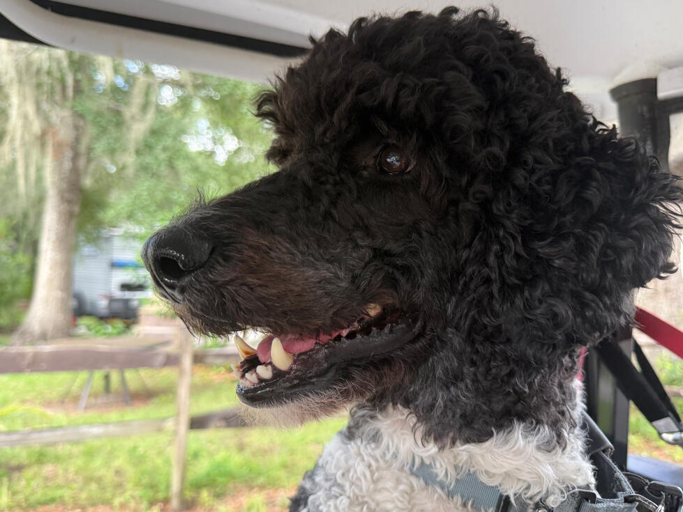 Argos living his best life