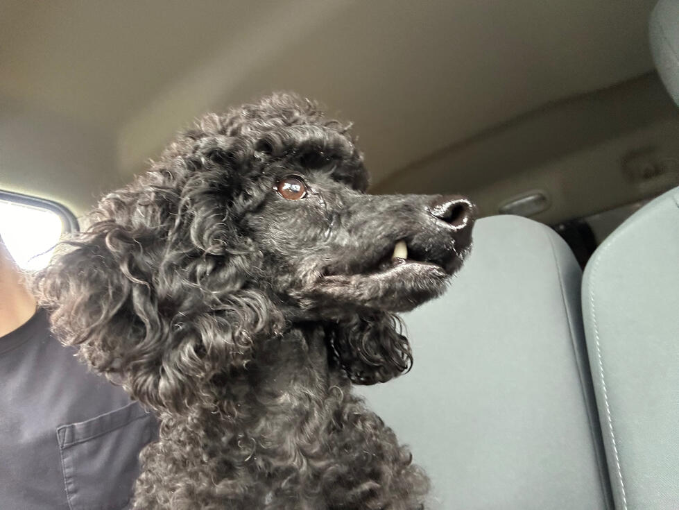 On her ride to her new life
