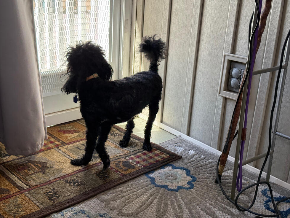 Sissy feeling left out looking around