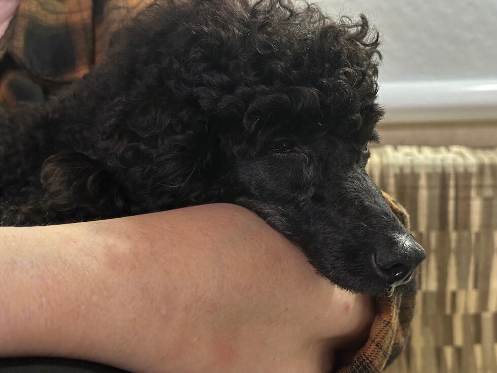 Just resting her head