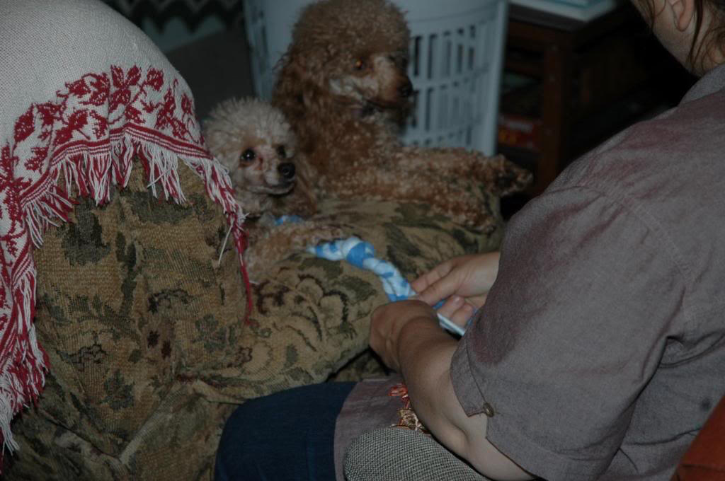 Helping mama make a new toy